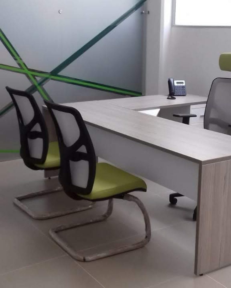PUESTO DE TRABAJO EJECUTIVO